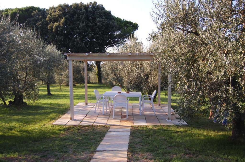 Agriturismo Le Querce Palaia Buitenkant foto